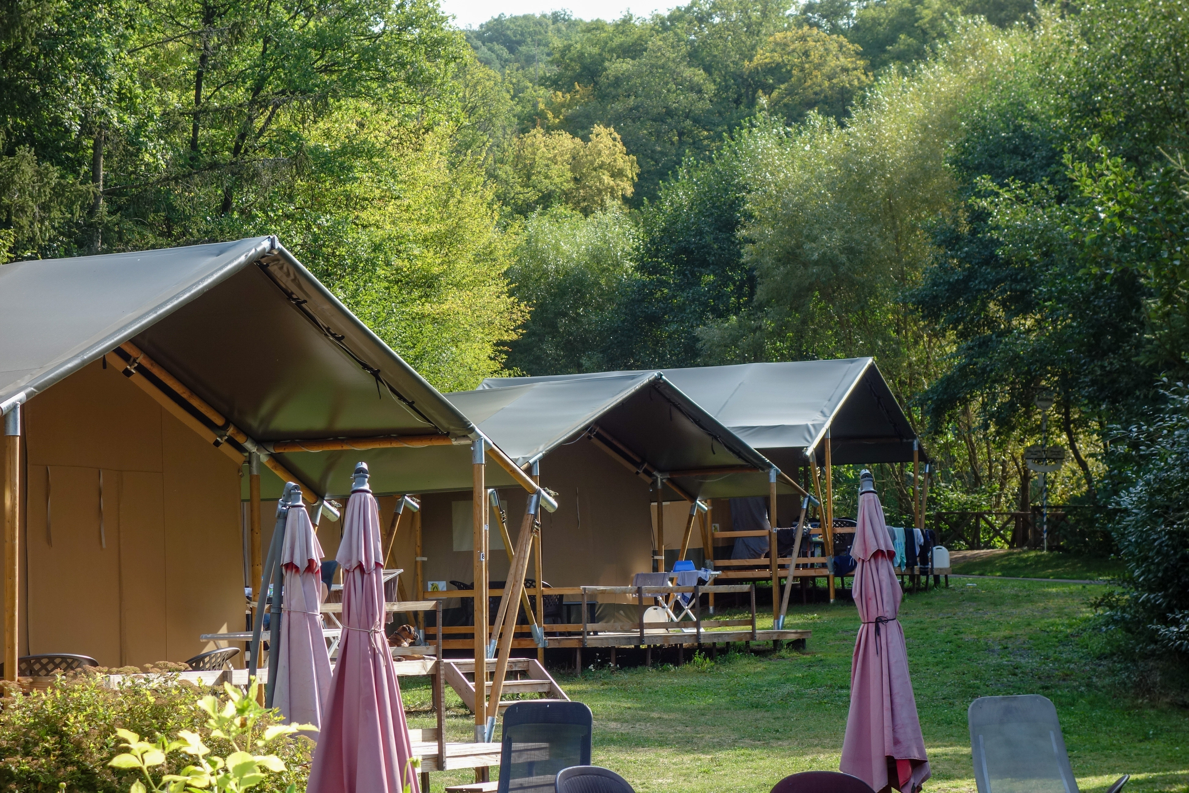 Camping Bockenauer Schweiz - Safaritent 4 personen incl. sanitair
